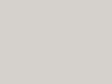 Light gray latex paint for interior walls texture (ID:ffaeh483079)