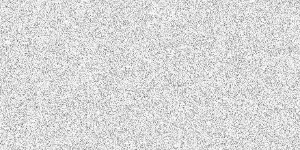 granite litchi surface sesame white granite seamless texture