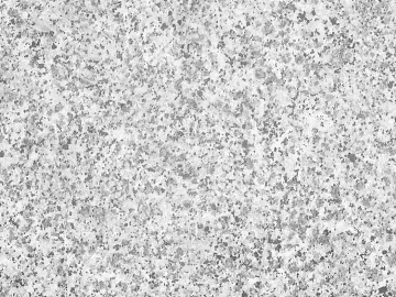 Granite Litchi Surface Sesame Ash Dump Granite texture (ID:ffaeg10631)