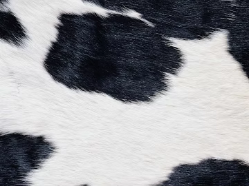Animal Blanket texture (ID:ffaag20782)