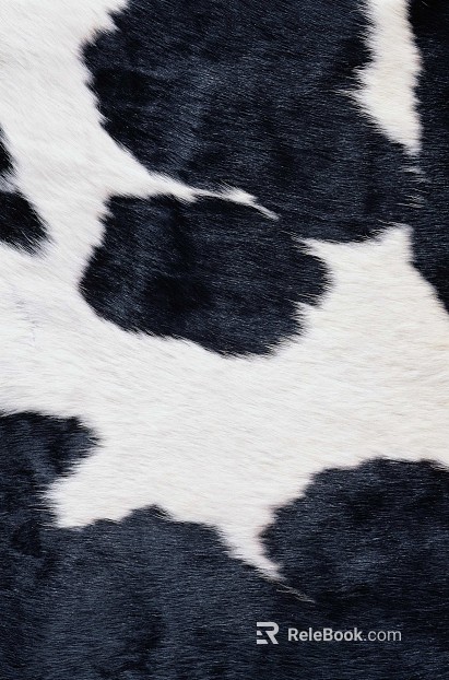 Animal Blanket texture