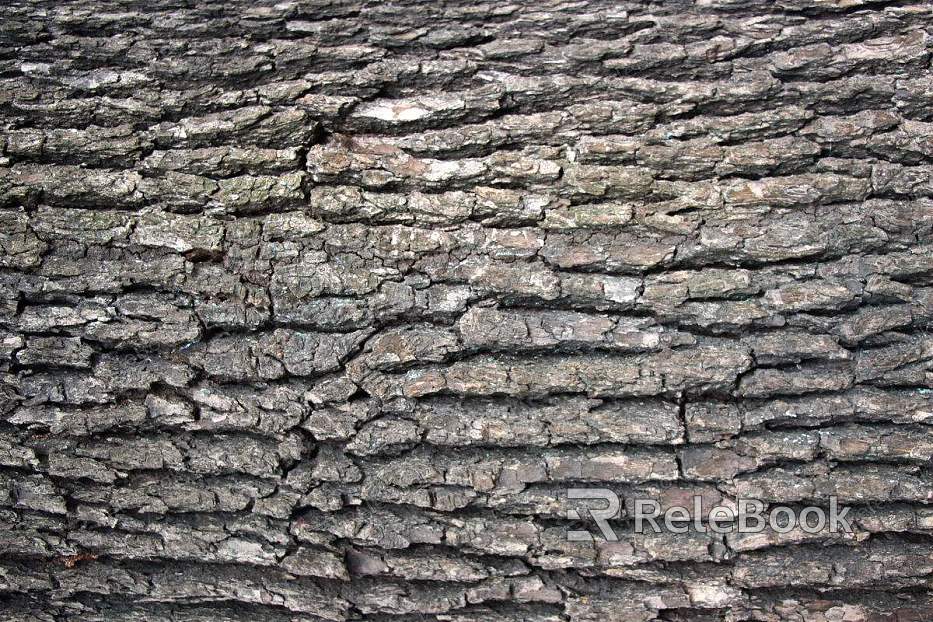 A close-up of a weathered, brown tree bark with deep, vertical cracks and moss growth, set against a blurred green foliage background.