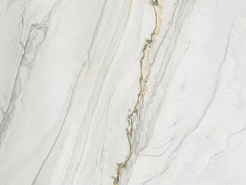 marble brazil fish belly white texture (ID:ffajh255277)