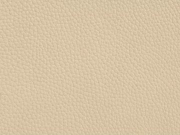 fine grain leather texture (ID:ffaeg47291)