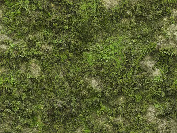 moss 3d model
