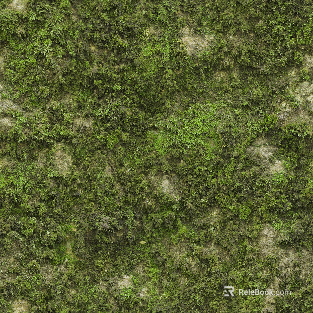 moss texture