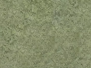 Gold Plate Modern Dark Green Gold Plate French Entry Luxury Gold Plate Green Metal Plate texture (ID:ffach879888)