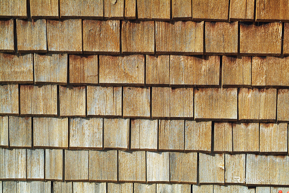 Modern shingles texture