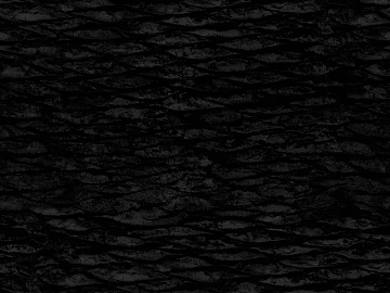 Black and White Bump texture (ID:ffajg56971)