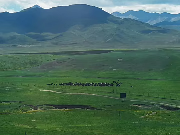 Natural Scenery texture (ID:ffach897856)