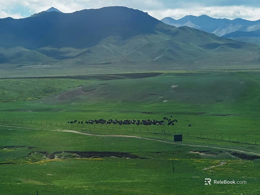 Natural Scenery texture