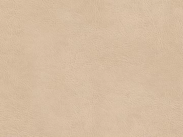 fine grain leather texture (ID:ffagg42450)
