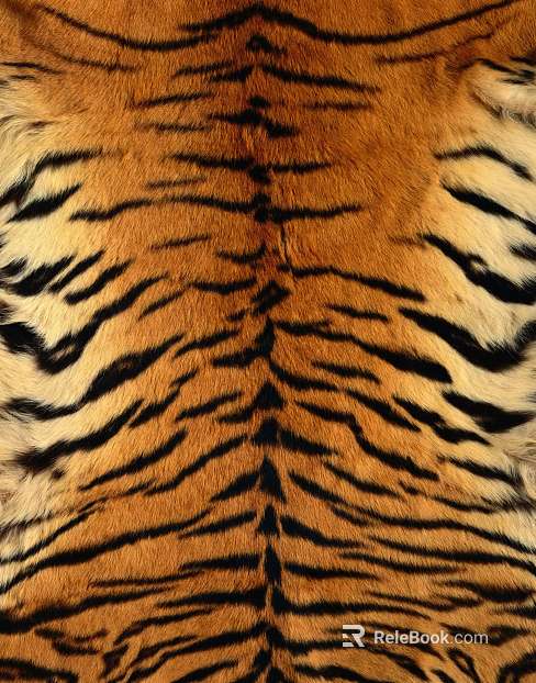Animal Blanket texture