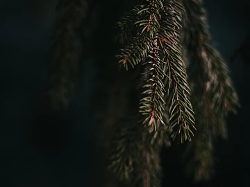 Plant painting texture (ID:ffaeg30367)