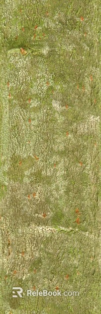 turquoise bark natural decorative surface texture