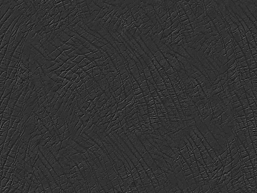 Black and White Map texture (ID:ffaef8390)