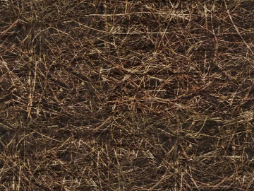Thatch texture (ID:ffaag79434)