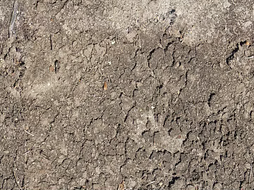 Mud ground texture (ID:ffaaf2927)