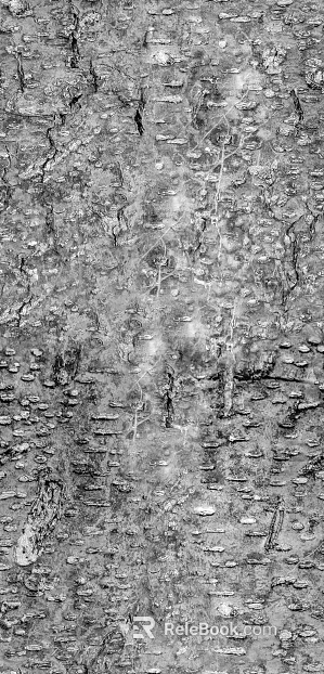 black and white bark texture