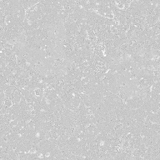 cement seamless texture