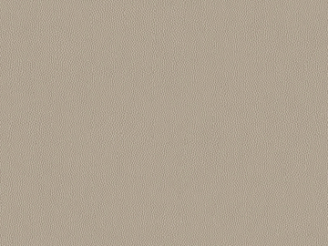 fine grain leather texture (ID:ffaeg21175)