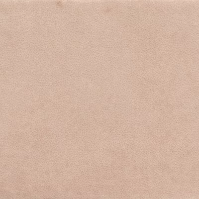 Human Skin