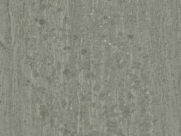 bark texture (ID:ffabg11858)