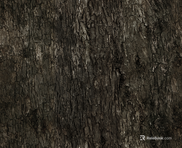 ancient tree bark texture