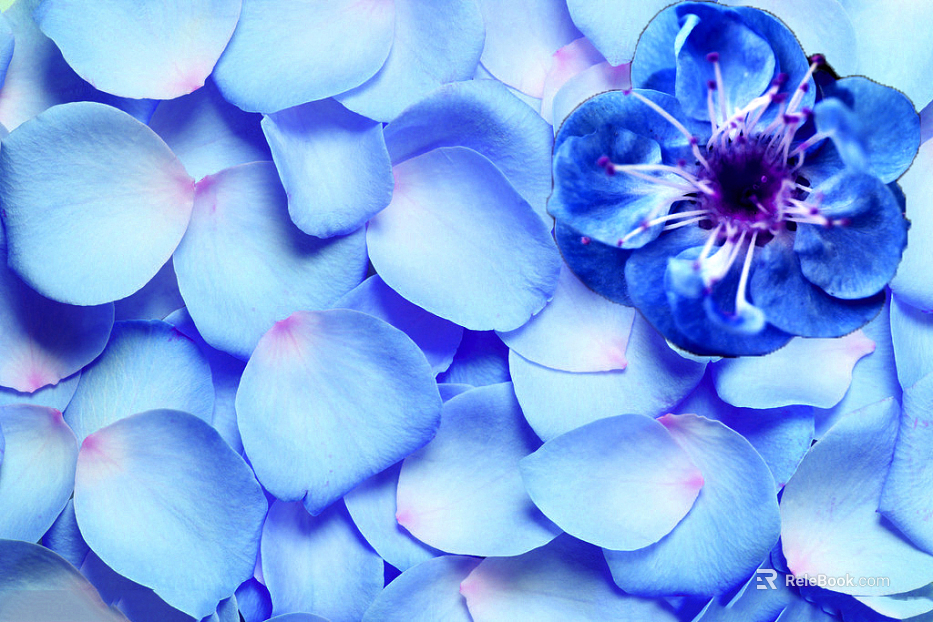 Flowers texture