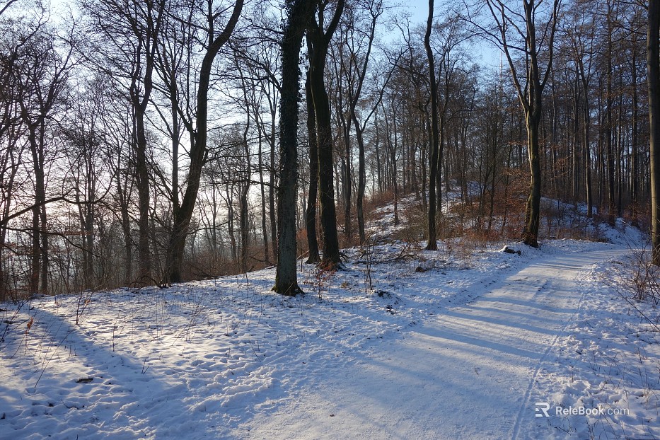 Wild Scenery texture