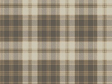 Plaid texture (ID:ffhgc9)