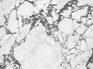 Bulgari white marble texture (ID:ffach829161)