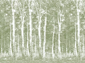 plant pattern texture (ID:ffajf4344)