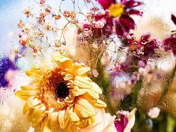 plant pattern texture (ID:ffagg37283)