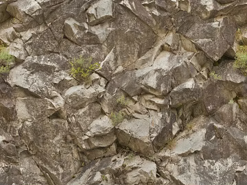Rock texture (ID:ffacf2225)