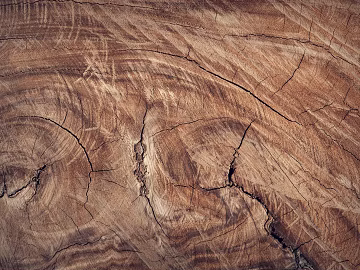 old wood texture (ID:ffaff4470)