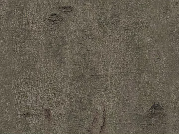 bark texture (ID:ffadg22456)