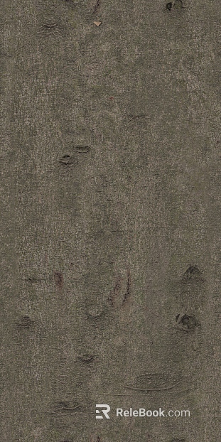 bark texture