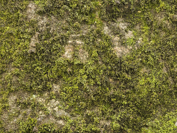 moss texture (ID:ffaaf4798)