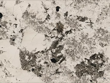 Snow Mountain Silver Fox Flower Hemp Marble Luxury Stone texture (ID:ffach970161)