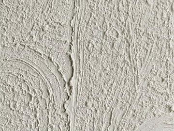 diatom mud texture (ID:ffach632718)