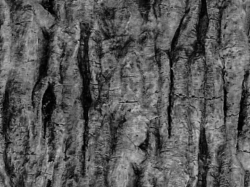 Black and White Bump texture (ID:ffajg91828)