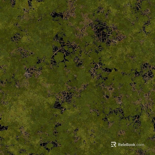 Green moss wall outdoor wall texture