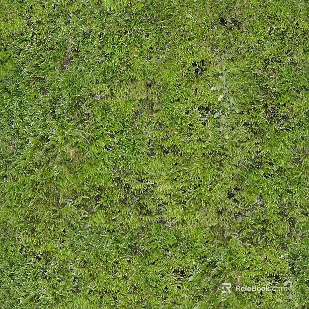 Turf texture