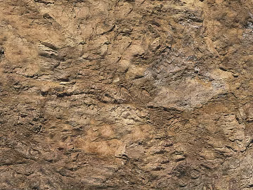 Rock texture (ID:ffaag66185)