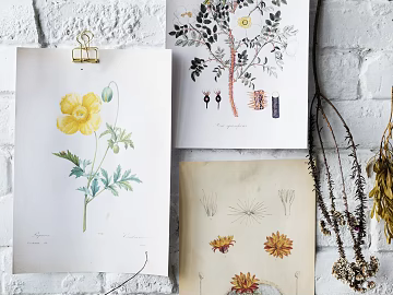 Plant painting texture (ID:ffajg93701)