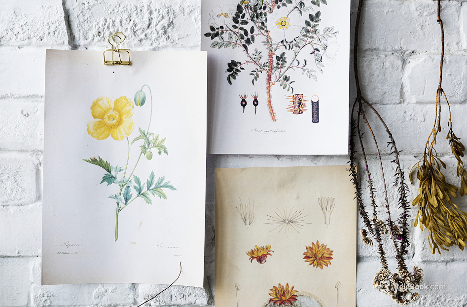 Plant painting texture