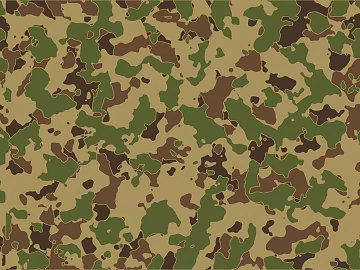 camouflage cloth pattern texture (ID:ffagg82152)