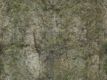 Rock wall texture (ID:ffacg70210)