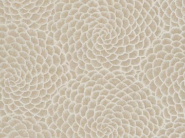 Pattern Wall Cloth Pattern Wallpaper Wall Cloth Wallpaper Wallpaper 3d model